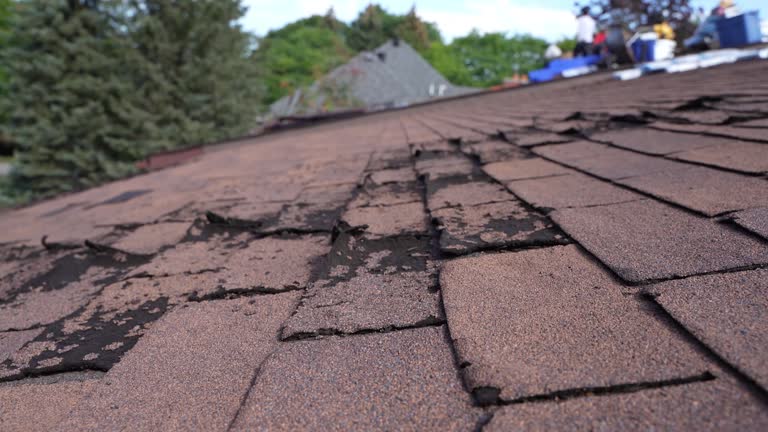 Trusted South Gate Ridge, FL Roofing Service Experts