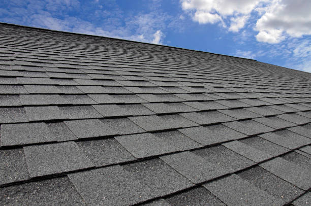 Best Gutter Installation and Repair  in South Gate Ridge, FL